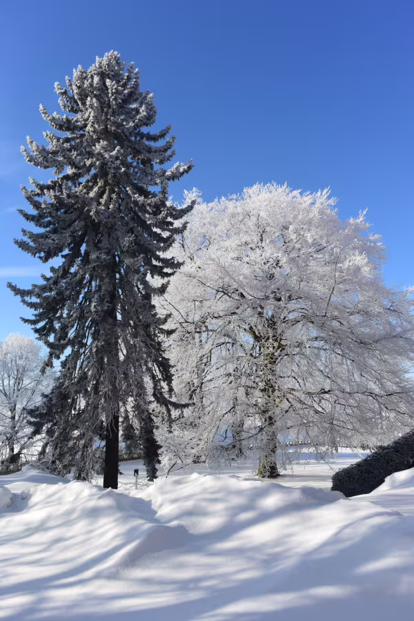 Hradní park