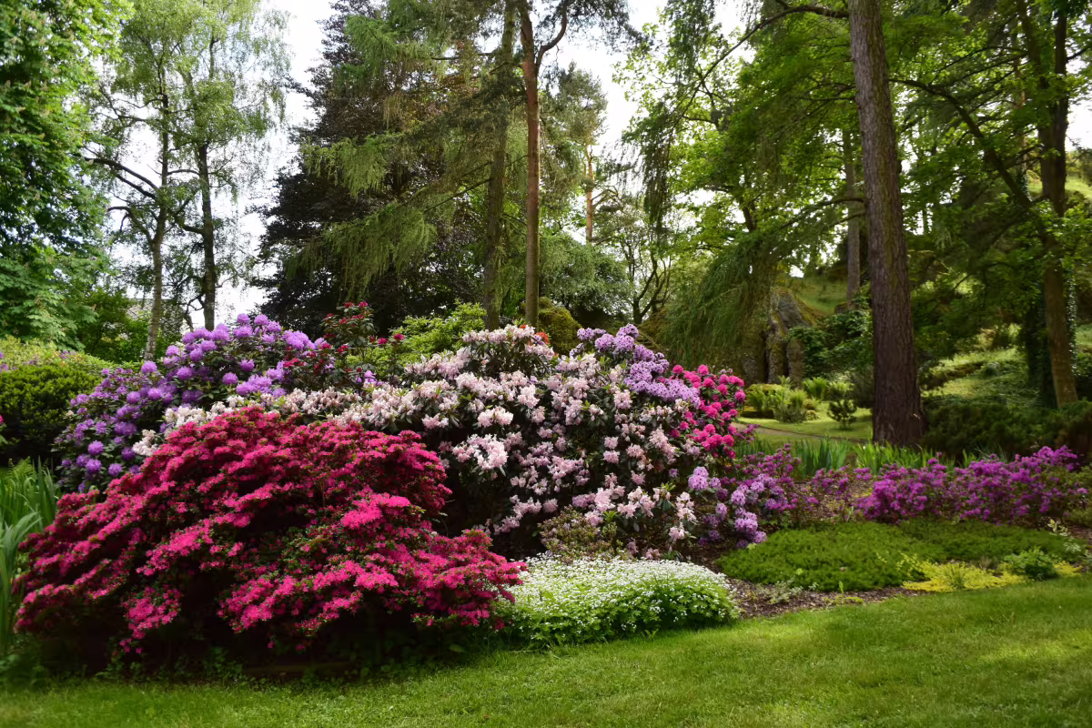 Hradní park